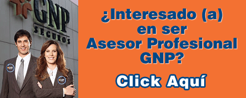 asesor